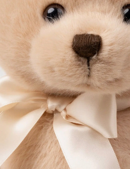 Pluche Teddybeer Bastian - close-up van gezicht en satijnen strik