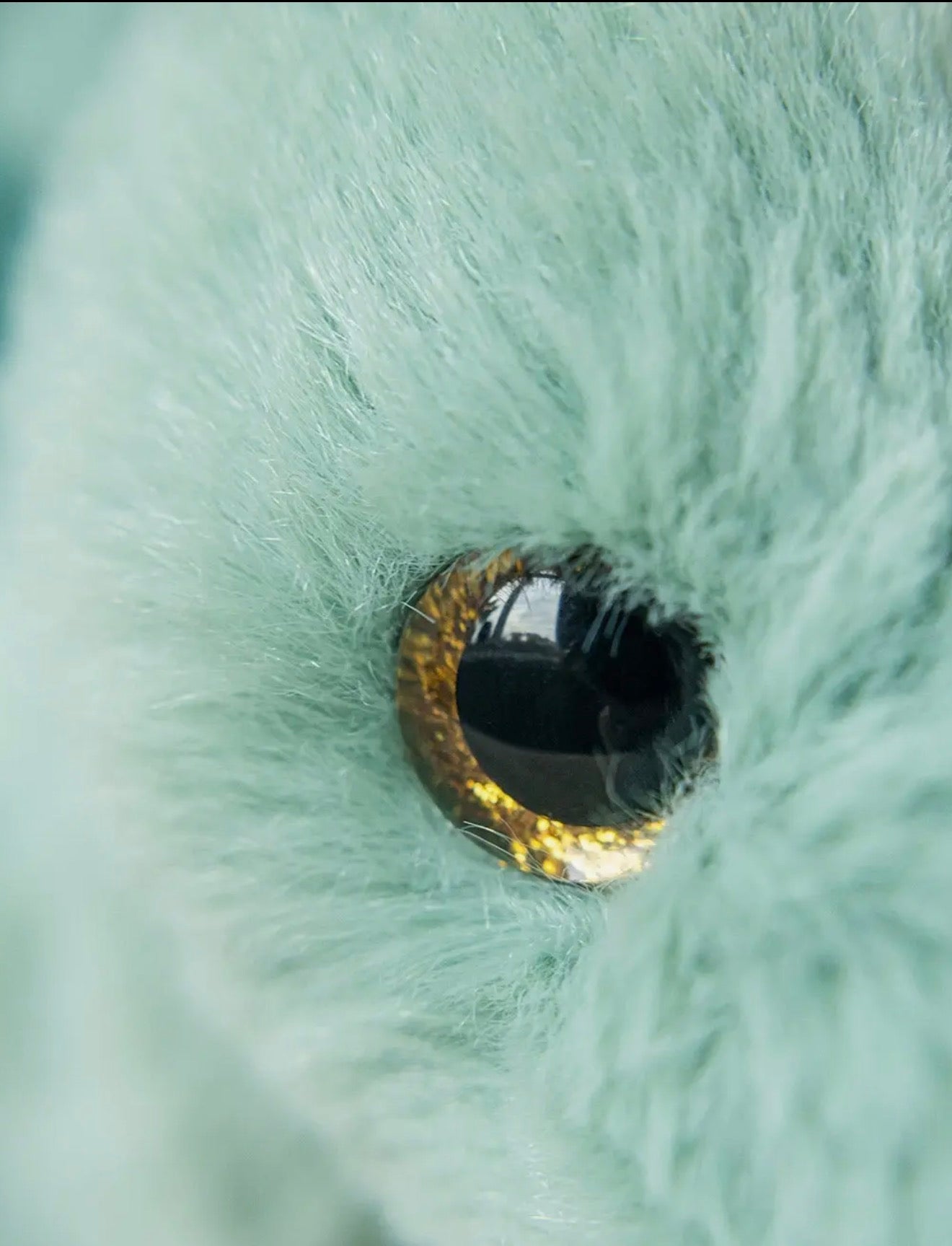 Close-up van het glanzende goudbruine oog van de Pluche Stegosaurus knuffel